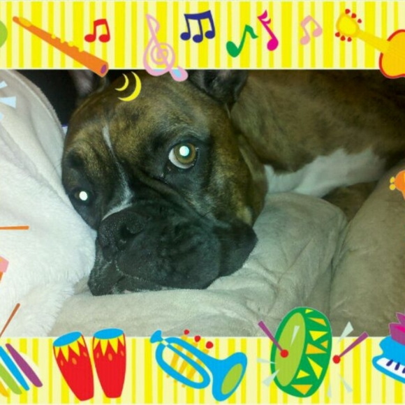 RIP Moses 2/29/20 :( - Picture 2 of 4